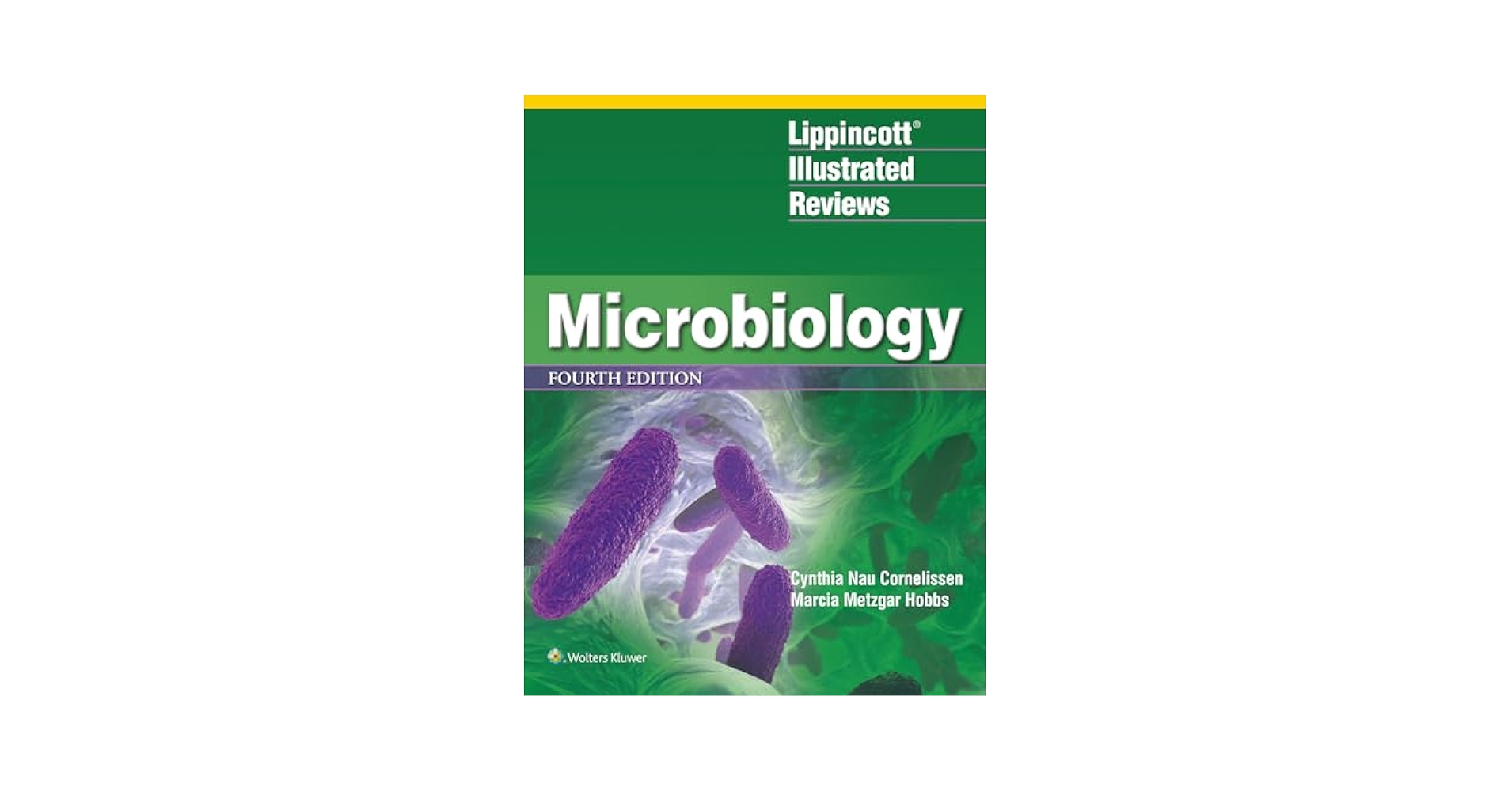 Lippincott&#39;s Illustrated Reviews: Biochemistry%ｶﾝﾏ% North American Edition (Lippincott&#39;s Illustrated Reviews Series) Lippincott Illustrated Reviews: Biochemistry (Lippincott